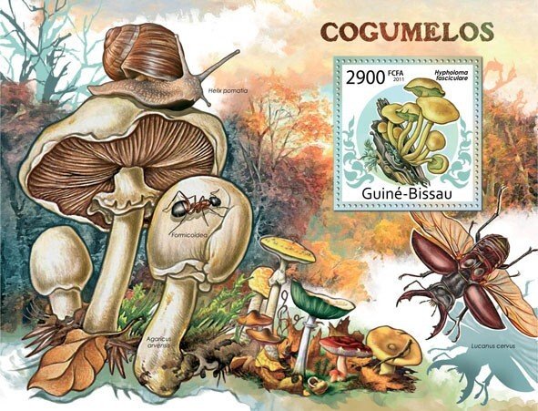 GUINEA BISSAU - 2011 - Mushrooms - Perf Souv Sheet - Mint Never Hinged