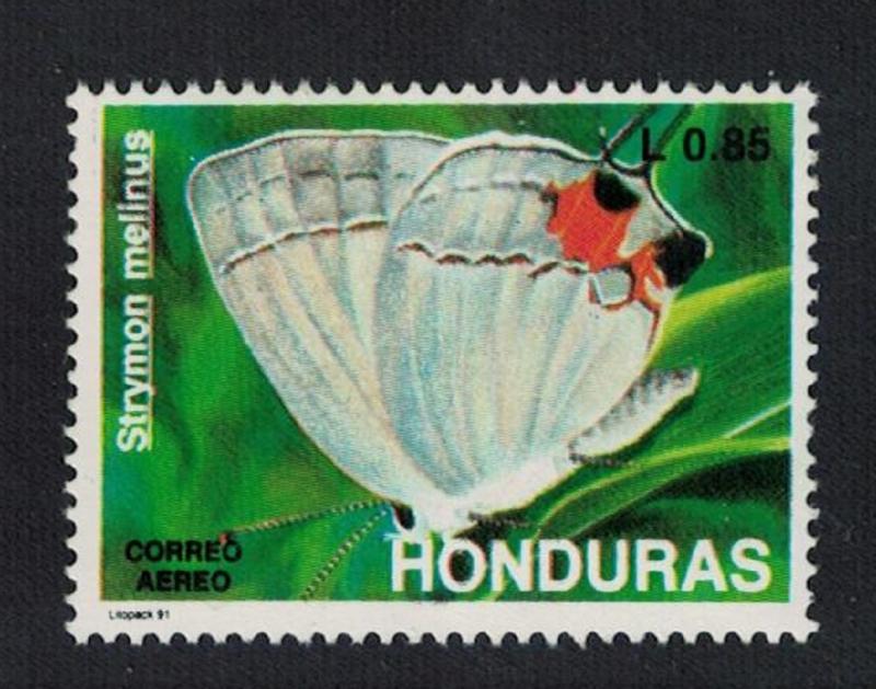 Honduras Gray hairstreak Butterfly 'Strymon melinus' 1991 MNH SG#1128