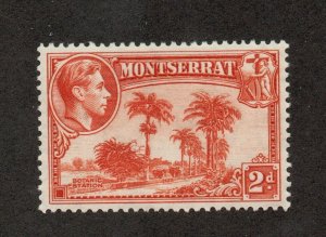 Montserrat  - SG# 104 MLH / Perf 13           -          Lot 0424015