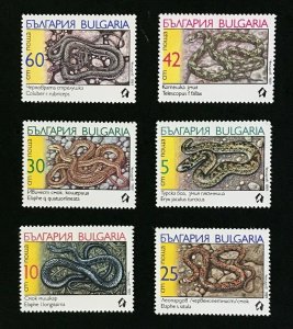 Bulgaria #3491-96 Snakes - MNH