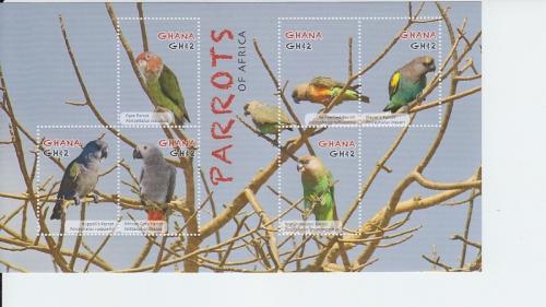 2012 Ghana Parrots of Africa MS6 (Scott 2704) MNH