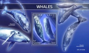 Sierra Leone - 2019 Whales on Stamps - Stamp Souvenir Sheet - SRL191205b