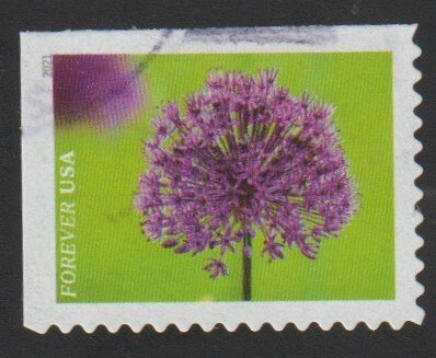 New 2021 - (55c) - Garden Beauty: Ornamental Onion - 3/10 - Used single