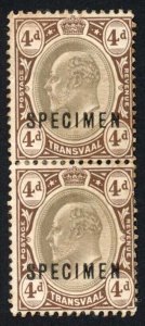 Transvaal SG249s 4d Wmk Crown CA no gum PAIR Opt SPECIMEN