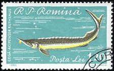 ROMANIA   #1393 USED (1)