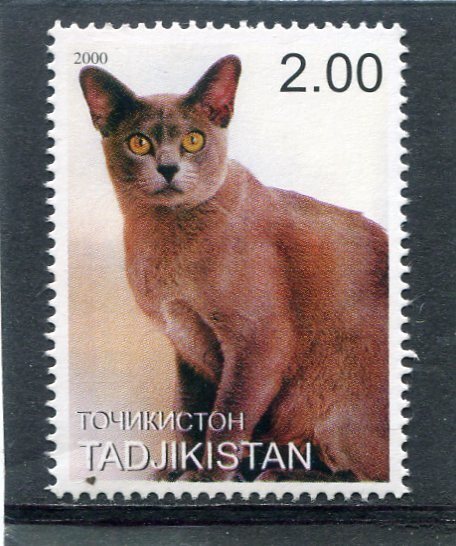 Tajikistan 2000 DOMESTIC CAT Single Perforated Mint (NH)