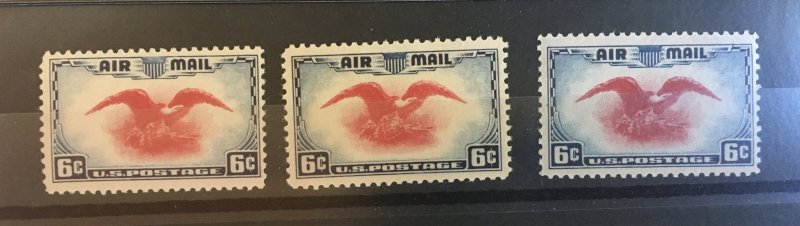 US C23 Mint Small Study