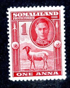 7044 BCX Somaliland 1942 scott #97 mnh** (offers welcome)