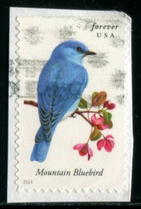 4883 US (49c) Songbirds - Mountain Bluebird SA, used on paper