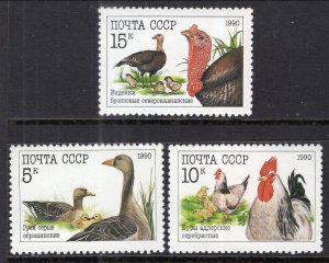 Russia MNH 5909-11 Poultry Birds