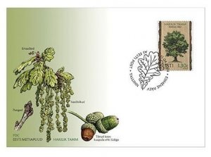 Estonia 2024 Estonian forest trees pendunculate (English) oak Omniva FDC