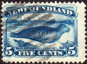 Newfoundland 54 - Used - 5c Harp Seal Pup (Perf 12) (1887) (cv $10.00)