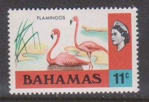 Bahamas,  11c Flamingos  (SC# 322) MNH