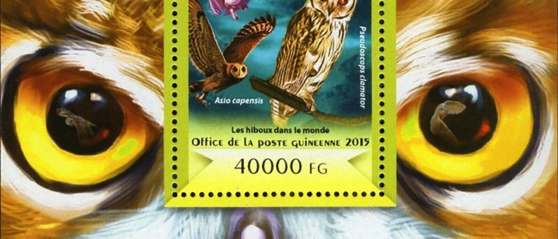 Owls Bird Stamp Asio Capensis Pseudoscops Clamator S/S MNH #10941 / Bl.2483