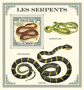 Togo - 2021 Common Death Adder Snakes - Stamp Souvenir Sheet - TG210110b