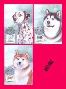 KYRGYZSTAN 2020 Nature Fauna Farm Domestic Animals Pets Dogs 3 Maxicards Cards