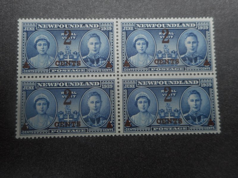 Newfoundland # 250 XFNH Block of 4