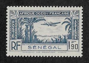 C12,MNH