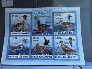 Comoro Islands 2009 Birds Sandpiper  mint never hinged stamps sheet R24103