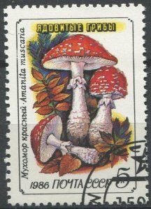 Russia Sc#5455 Used, 5k multi, Poisonous Mushrooms (1986) (1986)