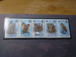 Swaziland  #  405  MNH  Birds