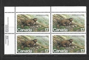 CANADA - 1981 VANCOUVER ISLAND MARMOT - UPPER LEFT PB - SCOTT 883 - MNH