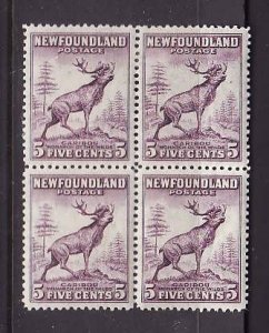 Newfoundland- Sc#257-unused 5c Caribou block of 4-top 2 H, bottom 2 NH-id#351-19