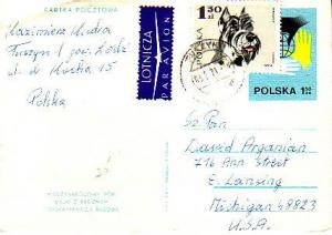 Poland, Airmail, Dogs, Government Postal Card