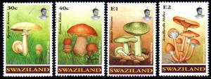 Swaziland - 1994 Fungi Set MNH** SG 638-641