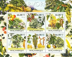 MOZAMBIQUE - 2011 - Trees - Perf 6v Sheet - Mint Never Hinged
