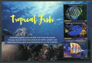 Grenada 2017 MNH Tropical Fish Discus 3v M/S I Fishes Marine Corals Stamps 