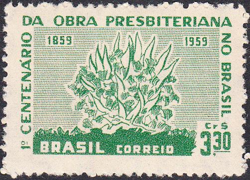 Brazil #902 MNH  