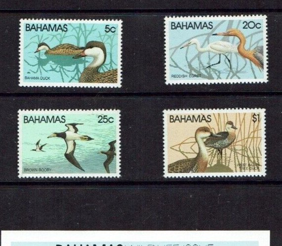 Bahamas: 1981, Wildlife, Birds, (1st issue)  MNH set