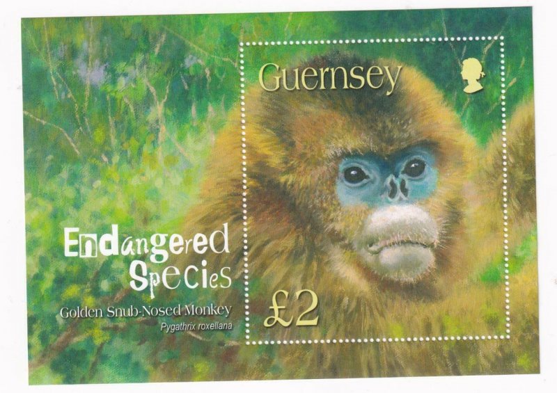 GUERNSEY ENDANGERED SPECIES GOLDEN SNUB NOSED MONKEY S/SHEET MNH PO FRESH