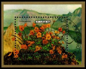 North Korea - Cancelled Souvenir Sheet Scott #2866 (Alpine Flowers)