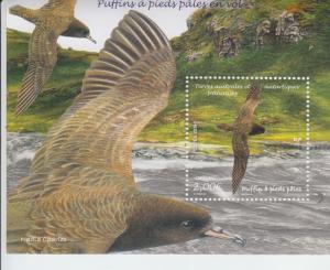 2019 FSAT Fr Antarctic Puffins in Flight SS (Scott 613) MNH