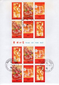 Abkhazia 1996 Year of the Rat - Chinese New Year - Sheetlet (12) Perforated FDC