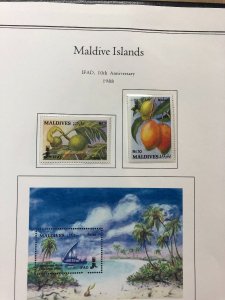 MALDIVE ISLANDS – BEAUTIFUL MINT COLLECTION IN 2 PALO ALBUMS – 421792