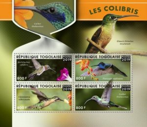 Togo - 2019 Hummingbirds - 4 Stamp Sheet - TG190112a