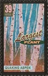 US 4072 Quaking Aspen Largest Plant 39c single MNH 2006