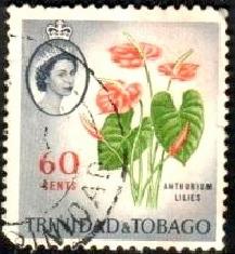 Flower, Anthurium Lilies, Trinidad & Tobago stamp SC#100 used