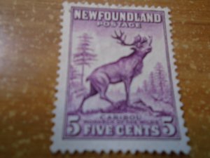 Newfoundland  # 257  MH