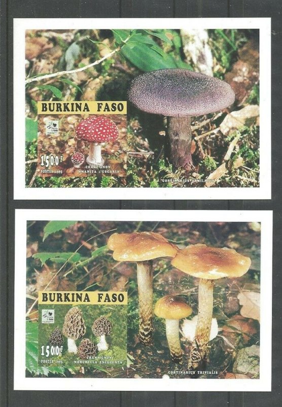 1995 Boy Scout Burkina Faso 2 SS 18th World Jamboree mushrooms fungi Imperf