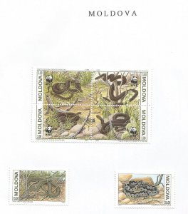 MOLDOVA - 1992 - W W F., Snakes - Perf 6v Set - M N H