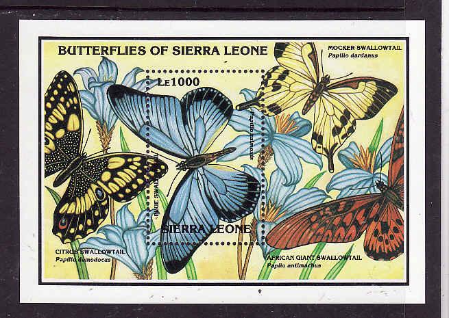 Sierra Leone-Sc#1641-sheet-unused-NH-Butterflies-Insects-African Giant Swallowta