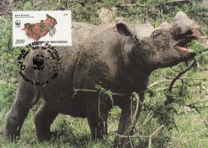 Indonesia 1996 Maxicard Sc #1673c 300r Sumatran rhinoceros WWF