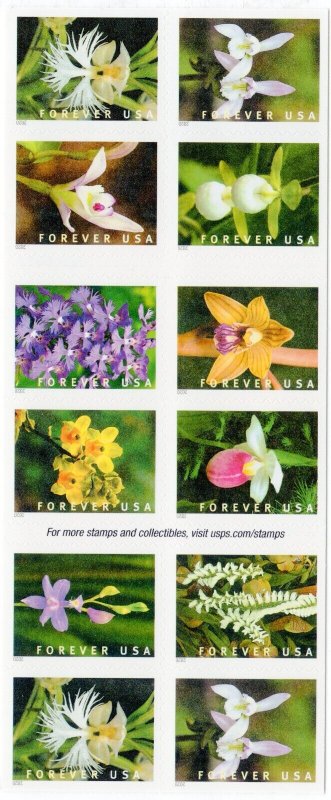 Scott #5454b Wild Orchids Booklet of 20 Forever Stamps - MNH UV