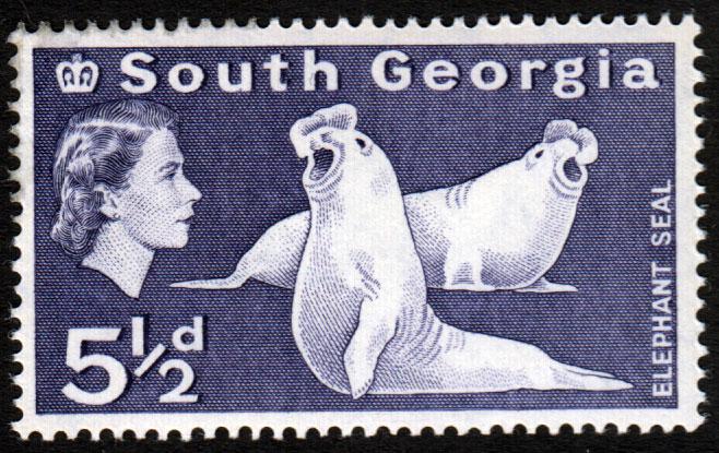 South Georgia QEII 1963 5.5d Deep Violet SG7 Mint Lightly Hinged