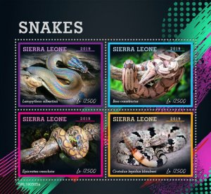 Sierra Leone 2019 MNH Snakes Stamps Reptiles Pythons Boa Constrictor 4v M/S