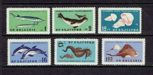 BULGARIA - 1961 BLACK SEA FAUNA - SCOTT 1164 TO 1169 - MNH